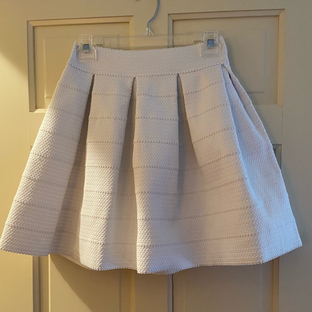 Express circle skirt (size small)